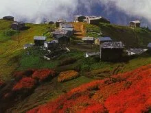 artvin borçka artvin borçka