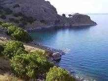 van golu