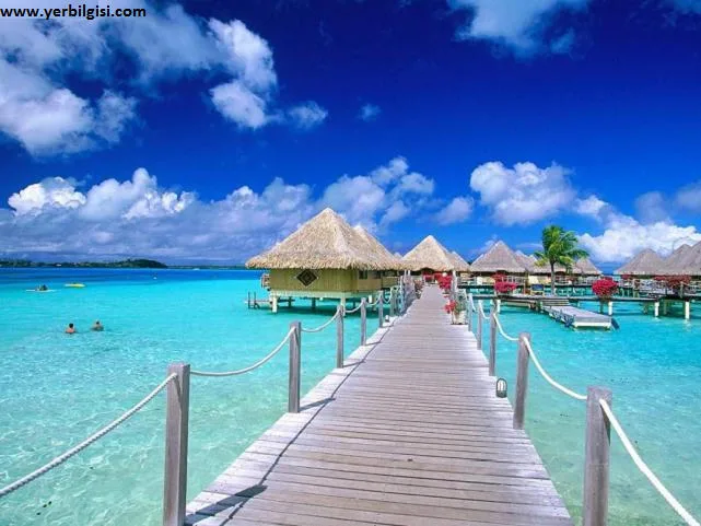 borabora4 borabora4