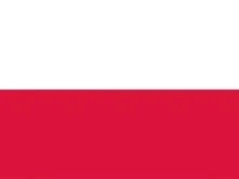 Free shipping 4 font b Poland b font font b flag b font of font b