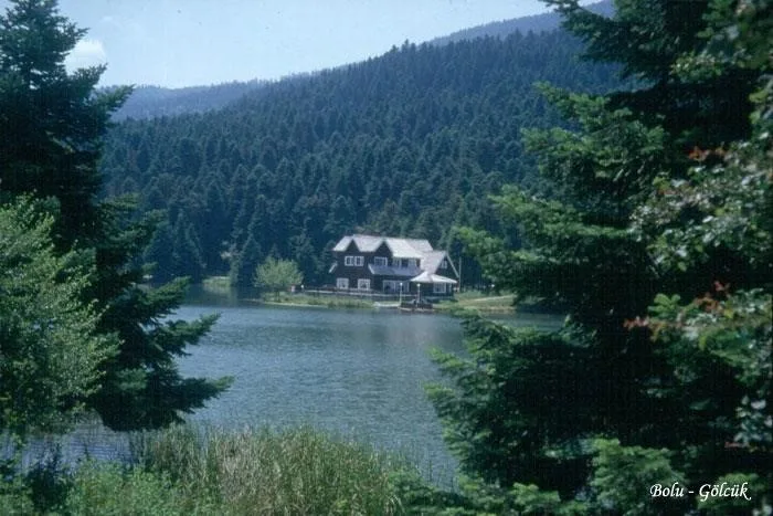 bolu_fa268.jpg bolu_fa268.jpg